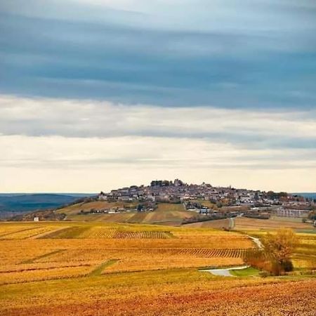 Gite Entre Vignes Et Loire Thauvenay Bagian luar foto
