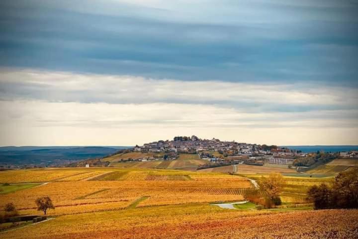 Gite Entre Vignes Et Loire Thauvenay Bagian luar foto